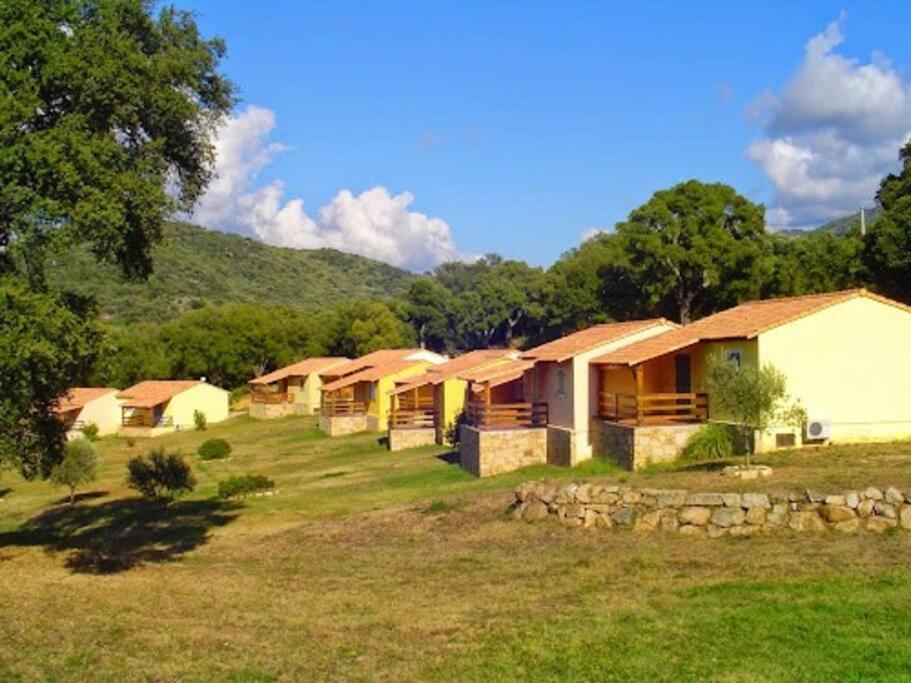 Maison Au Calme Avec Piscine Et Climatisation Sollacaro Ngoại thất bức ảnh
